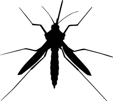 Mosquito silhouette illustration vector