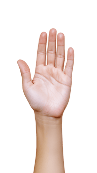 Raised human hand with open palm gesture on transparent background png