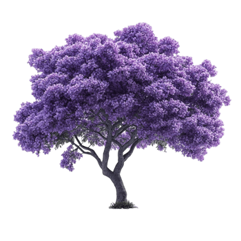 Purple Tree on Transparent Background png