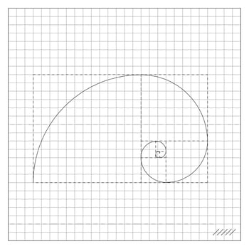 Golden Ratio Spiral On Notebook Sheet Of Checkered vector