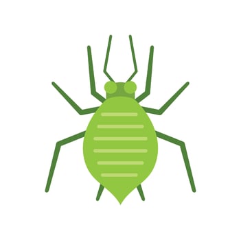 Green aphid insect pest crawling isolated on white background vector