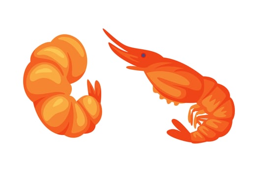 Fried Shrimp or Prawn as Traditional Thai Food or Snack Set vector