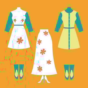Fashionable women's dress with shoes vector