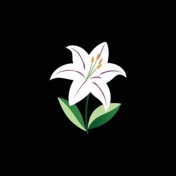 Lily flower on a black background vector