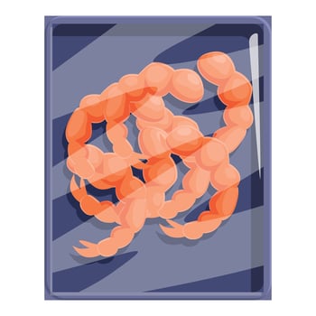 Fresh peeled shrimps packed in plastic tray for sale vector