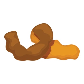 Tamarind tropical fruit showing its pulp and peel vector