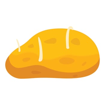 Sprouting potato tuber starting to grow new sprouts vector