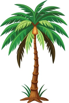 palm tree illustration with leaves for tropical coconut tree design vector