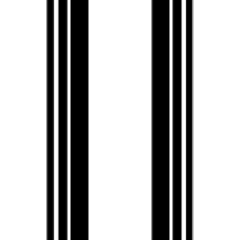 Monochrome abstraction with line dynamics png