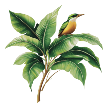 Colorful bird perched on lush green foliage png