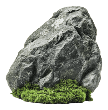 Mossy rock in nature png