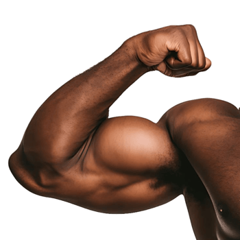 Muscular male arm flex isolated on transparent background png