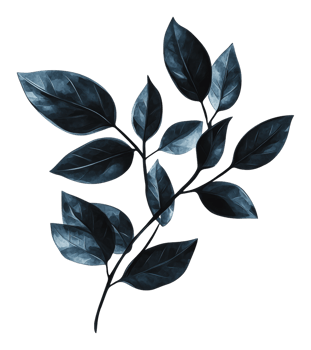 Artfully arranged dark green leaves png