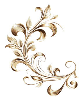 Gold floral design on white png