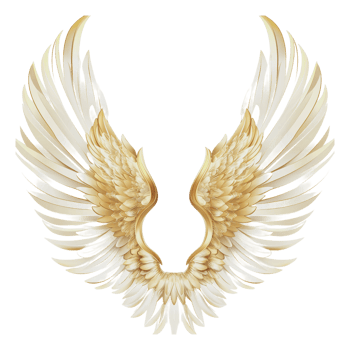 Golden and white angel wings design png