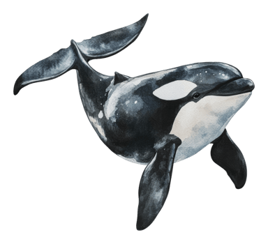 Orca swimming gracefully in deep ocean waters png