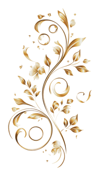 Elegant floral design with gold accents png