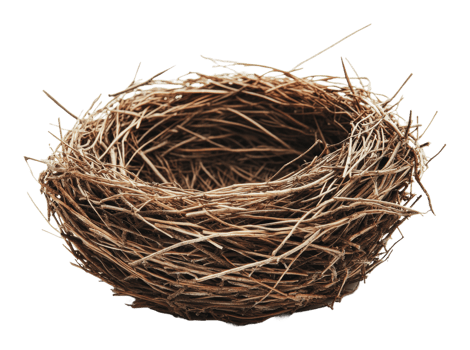 Simple woven bird nest made of twigs and grass png