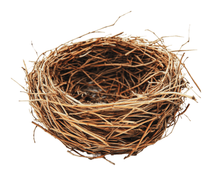 Empty bird nest made of twigs and straw materials png