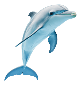 Dolphin performing a playful jump in the ocean png