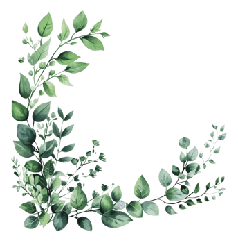 Green leaves arrangement for decorative use png