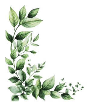 Leafy botanical illustration with a fresh look png