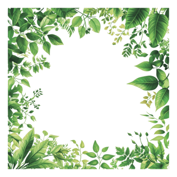 Lush green foliage framing a blank space png