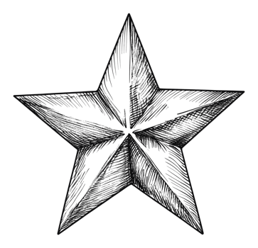 Star illustration with detailed sketch design png
