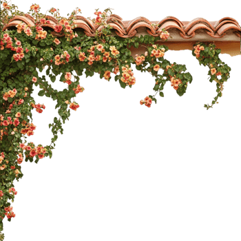 Eaves and Flowers on transparent background png