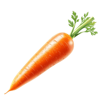 Raw Carrots Clipart on Transparent White Background png