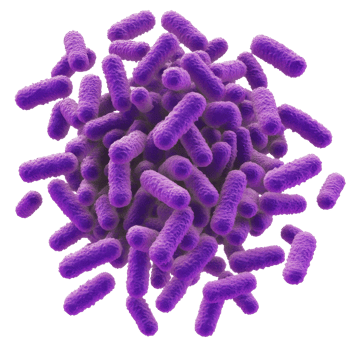 Colorful depiction of bacteria under a microscope png