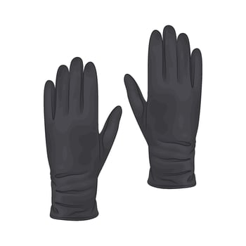 Illustration of lady gloves vector