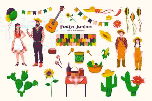 Festa Junina Celebration Elements Illustration vector