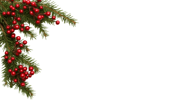 Decorative evergreen branches with red berries png