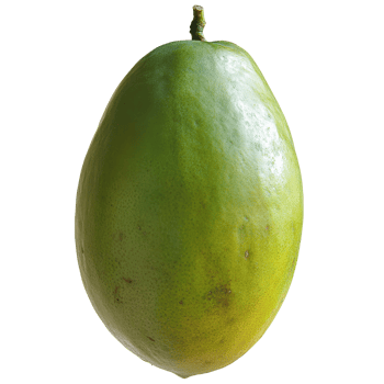Green mango displayed on a plain surface png