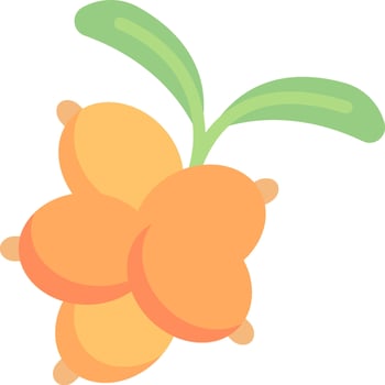 An orange fruit with leaves on it vector