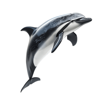 Playful Dolphin Facing Left Isolated on Transparent Background png