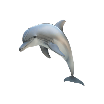 Leaping Dolphin in Motion Isolated on Transparent Background png