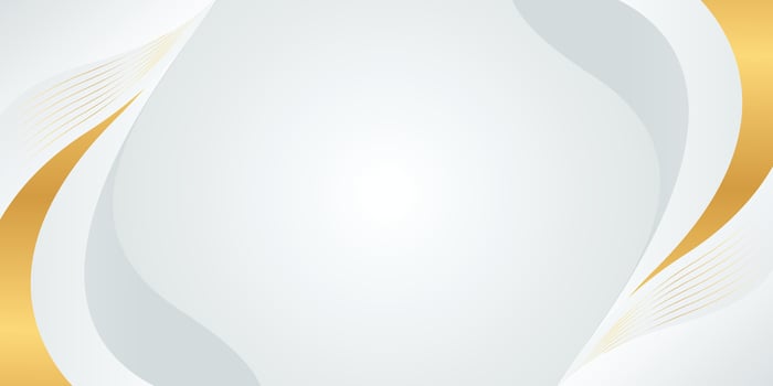 White-gray luxury background design with gold lines. Abstract wave background vector