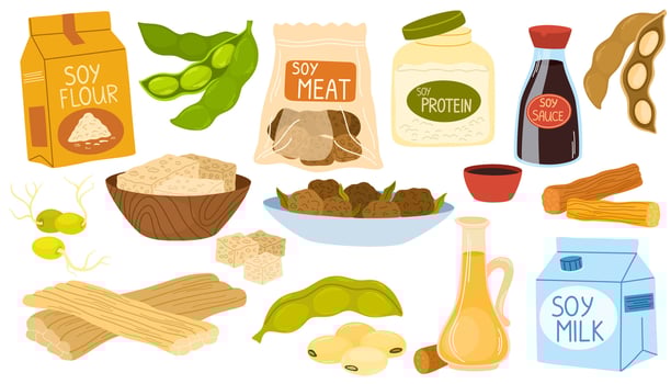 Soy products set. Soya protein food. Tofu, beans, alternative milk, vegetarian meat. Vegan cheese, soybeans, sprouts, asparagus. Flat graphic illustrations isolated on white background vector