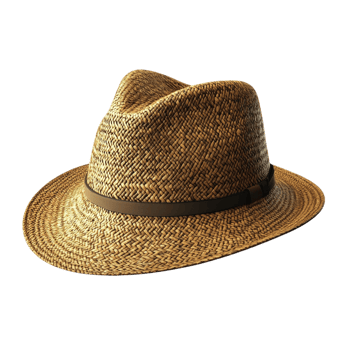 Hat with Customizable Mask Layer on transparent background png