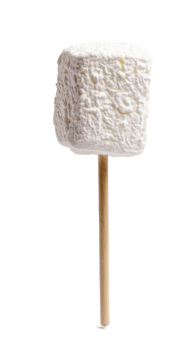 marshmallow on stick isolate on transparent background png