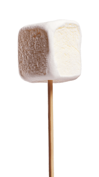 marshmallow on stick isolate on transparent background png