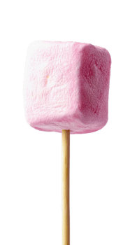 marshmallow on stick isolate on transparent background png