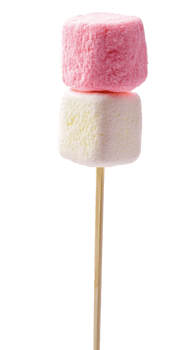 Marshmallow on stick isolate on transparent background png