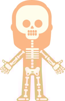 Stylized illustration showing human skeleton bones inside body silhouette, suitable for educational or medical purposes, with arms open vector