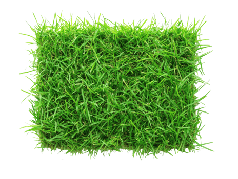 Green grass mat for landscaping png