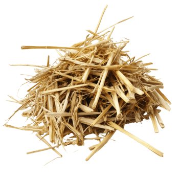 Pile of dry straw gathered in a farmyard png