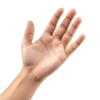 Open hand on white background png