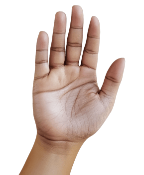 Open hand showing palm with fingers extended png